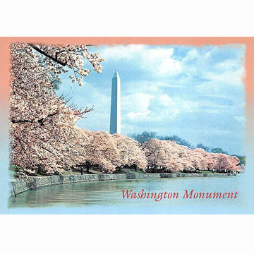Postcard - Washington Monument & Cherry Blossoms
