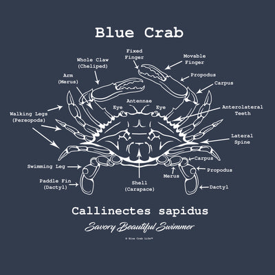 Blue Crab Anatomy T-Shirt Closeup